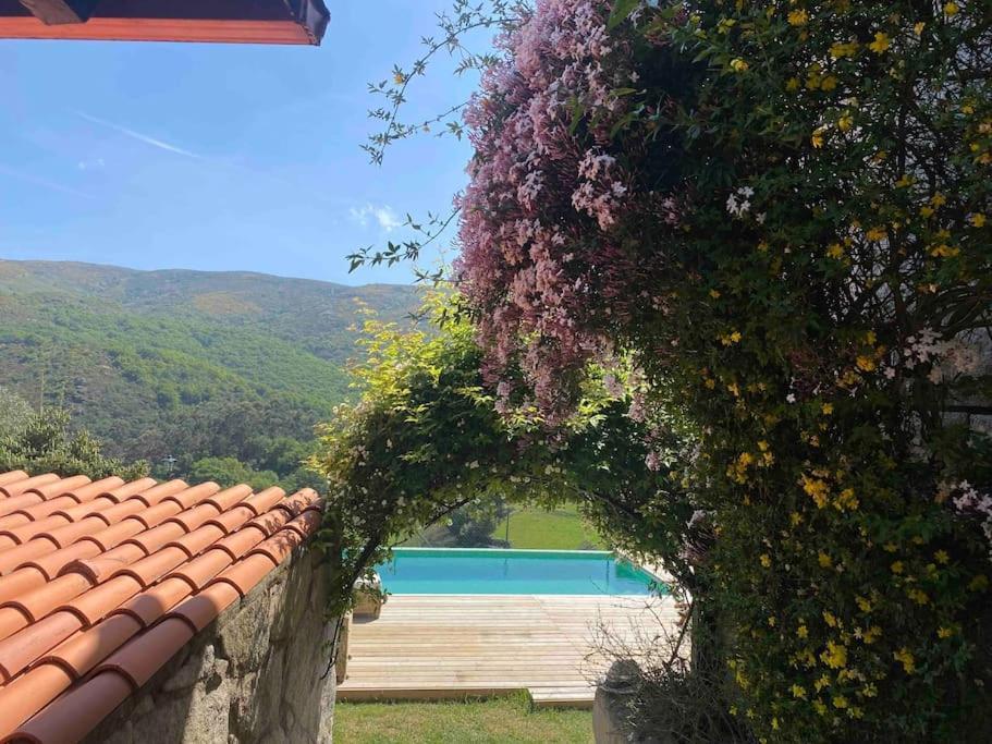 La Loba - Un Pequeno Paraiso A Tu Alcance Villa Fornelos de Montes Exterior foto
