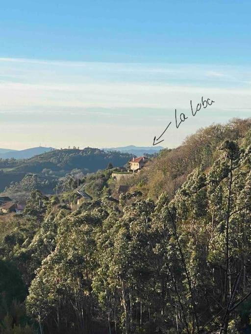 La Loba - Un Pequeno Paraiso A Tu Alcance Villa Fornelos de Montes Exterior foto